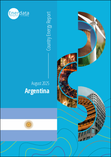 Argentina energy report Argentina energy report