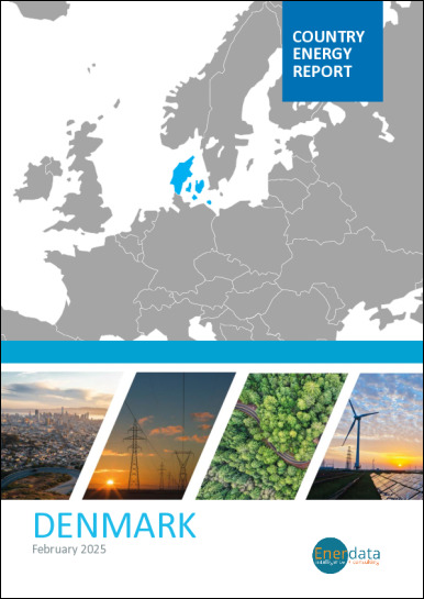 Denmark energy report Denmark energy report