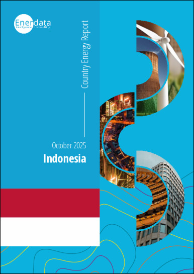 Indonesia energy report Indonesia energy report