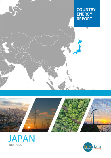 Japan energy report Japan energy report