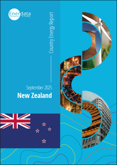 New Zealand energy report New Zealand energy report