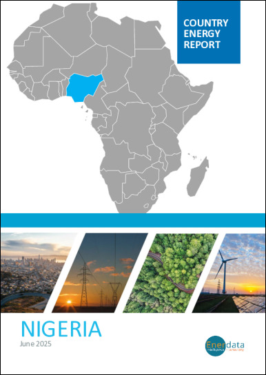 Nigeria energy report