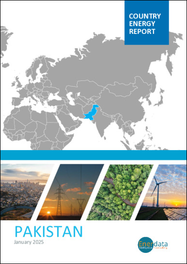 Pakistan energy report