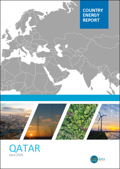 Qatar energy report Qatar energy report