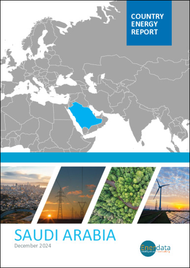 Saudi Arabia energy report