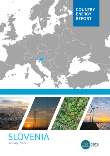 Slovenia energy report