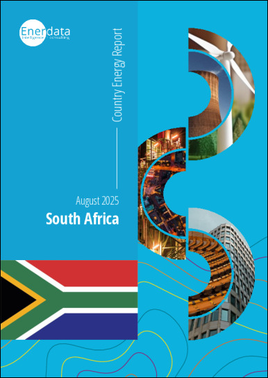 South Africa energy report