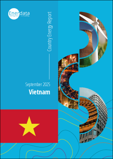 Vietnam energy report