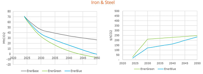 Emissions and average abatement costs for iron and steel
