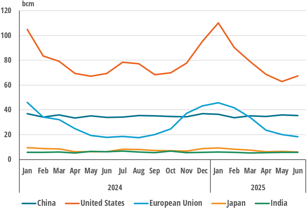 Natural gas consumption